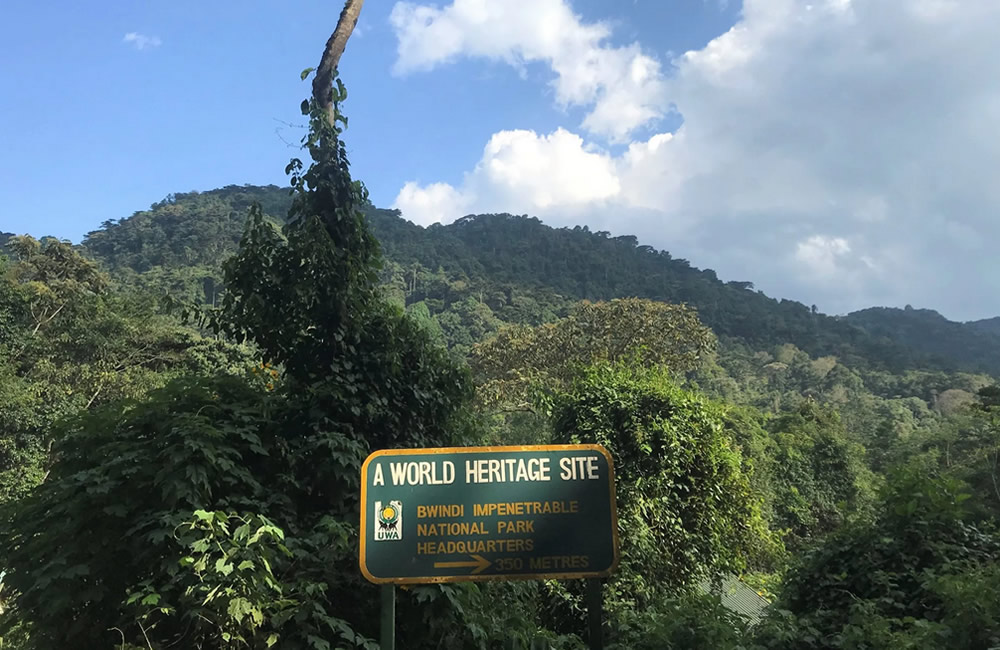 Bwindi Heritage Site