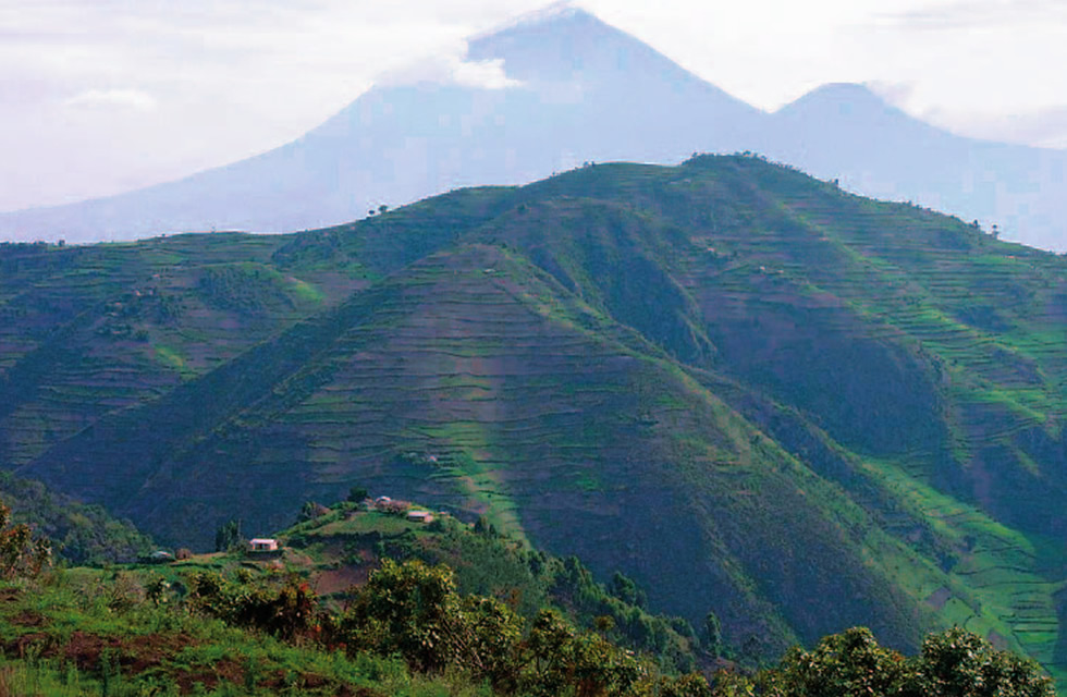 Why Most Travelers Prefer Bwindi than Mgahinga for Gorilla Trekking