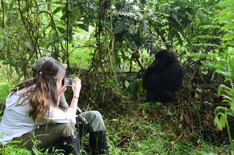 Gorilla Trekking in Uganda