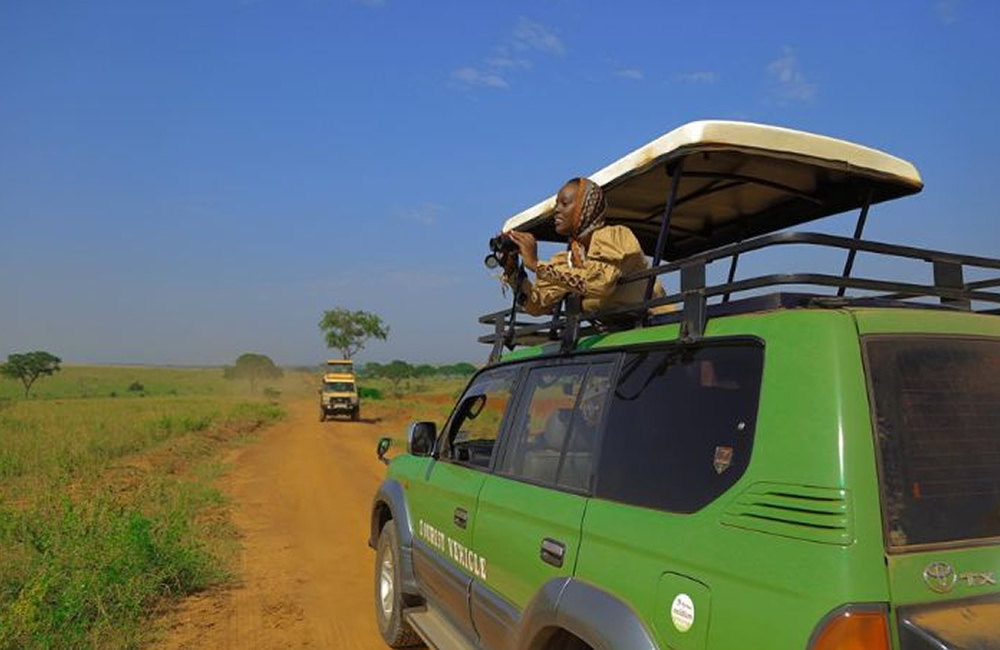 Murchison Falls Road Trip